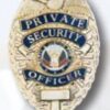 Private Security Officer Badge, Gold